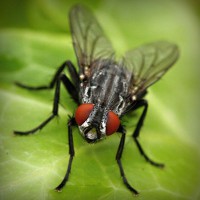 /album/ekin-su-mutlu/photolia-a01-jpg/