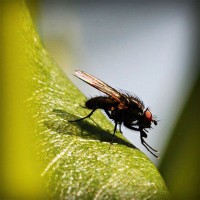 /album/ekin-su-mutlu/photolia-a04-jpg/