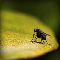 /album/ekin-su-mutlu/photolia-a07-jpg/