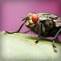 /album/ekin-su-mutlu/photolia-a08-jpg/